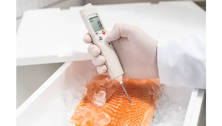 Penetration Thermometer for Food เครื่องวัดอุณหภูมิแบบโพรบสำหรับวัดอุณหภูมิอาหาร ยี่ห้อ Testo รุ่น 106-T3